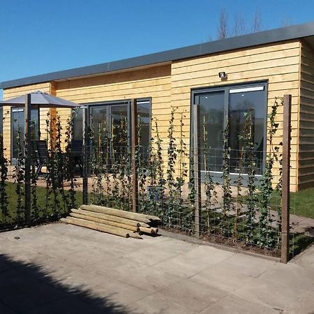 Luxe Vakantie Bungalow Met 3 Slaapkamers Dronrijp Extérieur photo